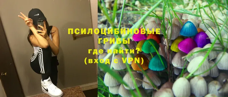 Галлюциногенные грибы Psilocybe  Поронайск 