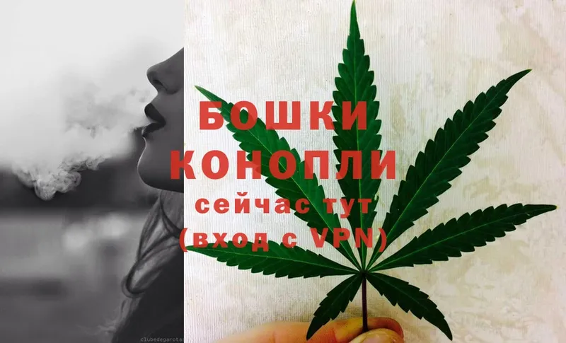 купить наркотики сайты  Поронайск  Бошки Шишки OG Kush 